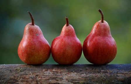 Organic Pears Buying Tips