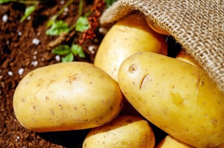 Organic Potatoes Buying Tips